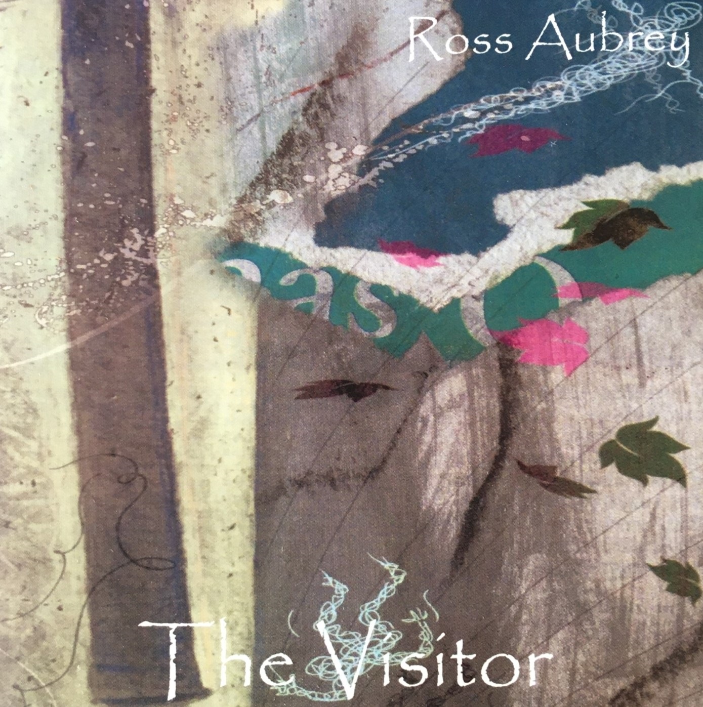 The Visitor